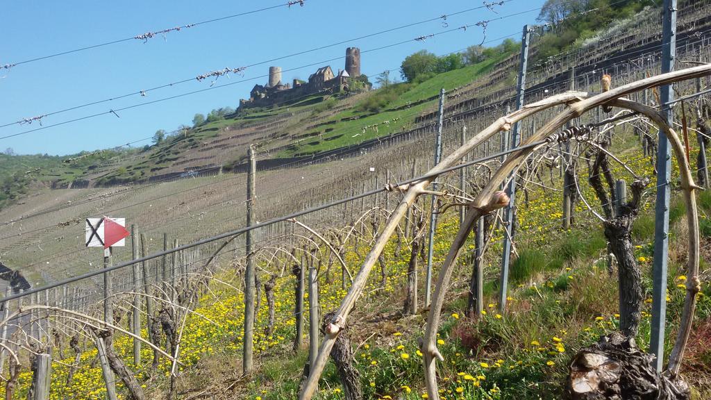 Winzerhof Brachtendorf Alken Buitenkant foto