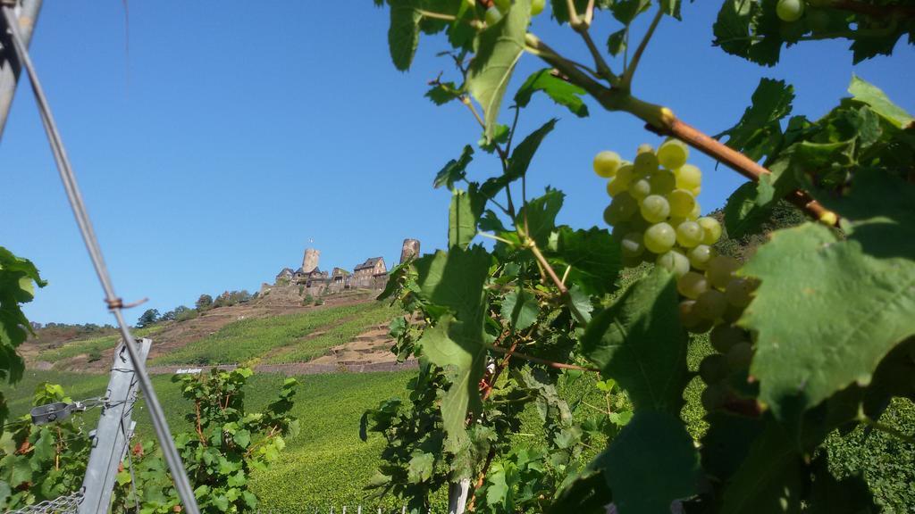 Winzerhof Brachtendorf Alken Buitenkant foto