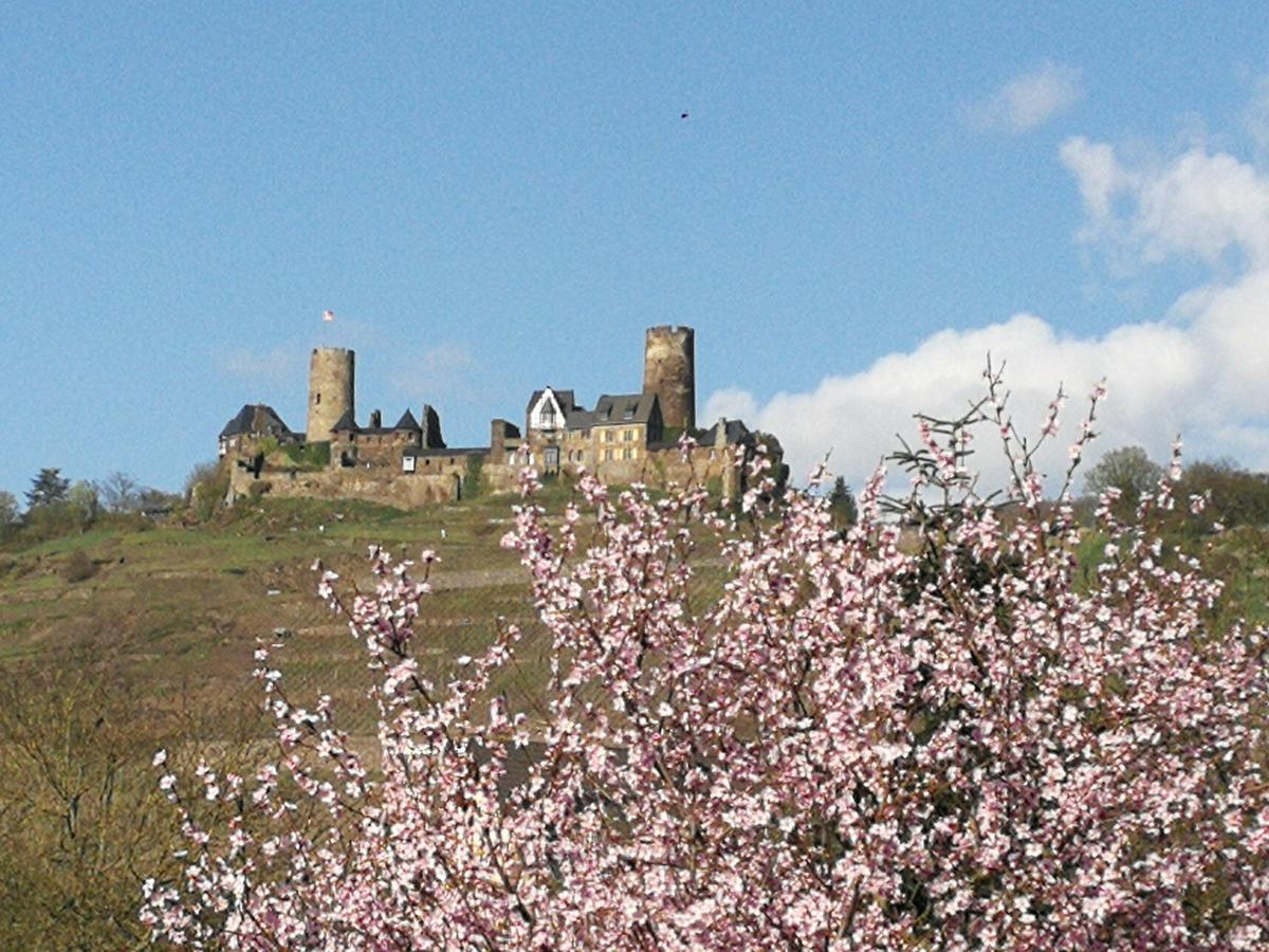Winzerhof Brachtendorf Alken Buitenkant foto